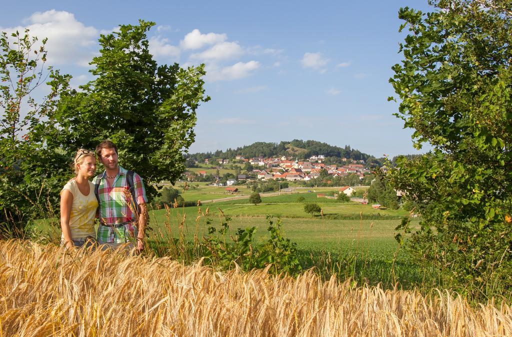 Zum Schwarzen Baeren Hotel Vohenstrauss Kültér fotó
