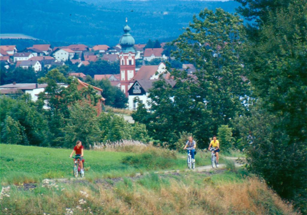Zum Schwarzen Baeren Hotel Vohenstrauss Kültér fotó